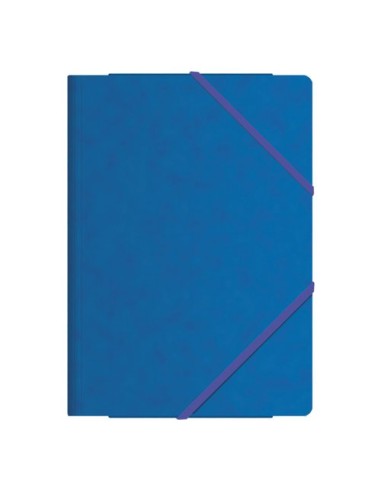 CARP. SOLAP. DOHE Fº CARTON AZUL - Pack de 10 unidades